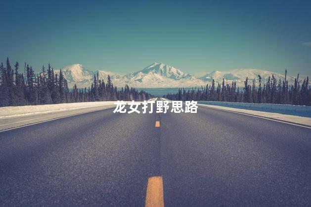  龙女打野思路